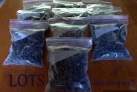 Fresh Blueberries All Year Long