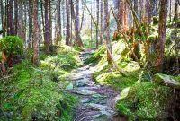 Alaskan Expedition Adventures