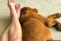 Furry Friend Friday: Potty Talk