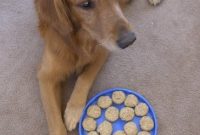 Wag-Worthy Peanut Butter and Oatmeal Dog Biscuits