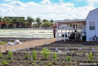 Steadfast Farm Micro Farm Journey