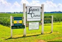 Soy: The Unassuming Powerhouse