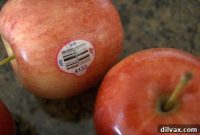 Sweet and Savory Apple Cheese Bake