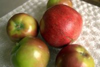 Sweet and Tangy Apple Pomegranate Crisp