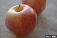 Day 236 Perfect Apple Peanut Butter Bars