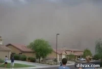 Golden Crispy Honey Ginger Chicken