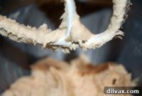 Butterscotch Cookie Bliss