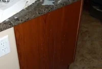 Day 58: Golden Baked Rice Pudding