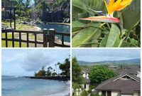 Discover Kauai: Top Stays and Unforgettable Adventures