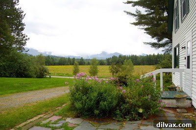 Scenic view of a winding road through lush green forests in Northern New Hampshire, autumn colors beginning to show.