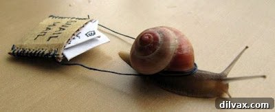 Lush green trees and rolling mountains under a clear blue sky in New Hampshire, highlighting its natural beauty.