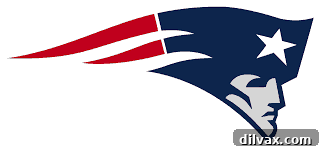 A school mascot logo featuring a patriotic theme, similar to the New England Patriots, signifying school pride.