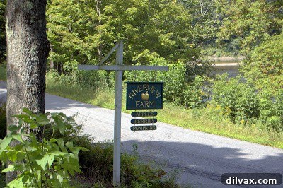Family enjoying blueberry picking at Riverview Farm