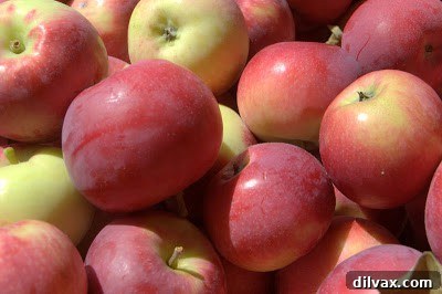 Baskets of freshly picked apples at a New Hampshire farm stand