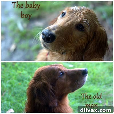 A serene outdoor scene, possibly a wooded path or a garden, evoking a sense of peace and belonging.