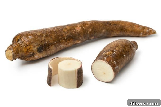 CRISPR Explained The Future of Biology 2 Researcher explaining CRISPR technology with genetic models