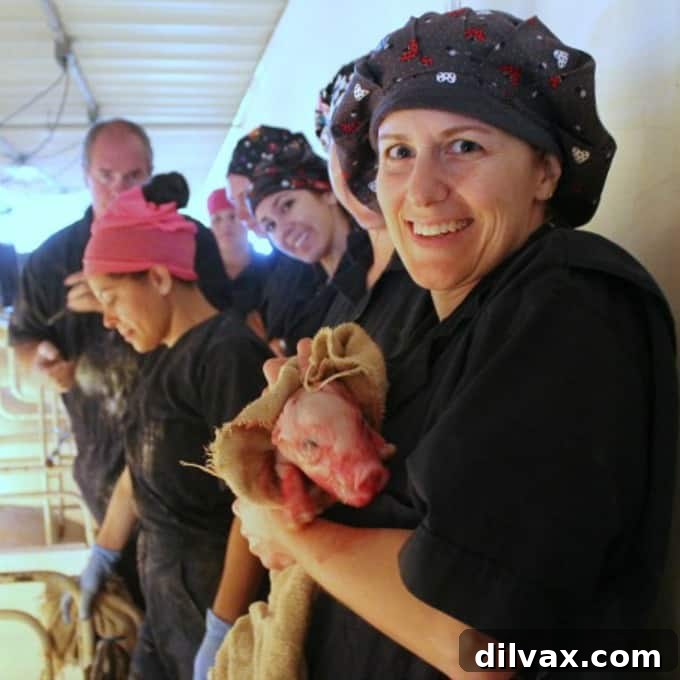 CRISPR Explained The Future of Biology 4 Erin Brenneman of Brenneman Pork discussing animal health with a researcher