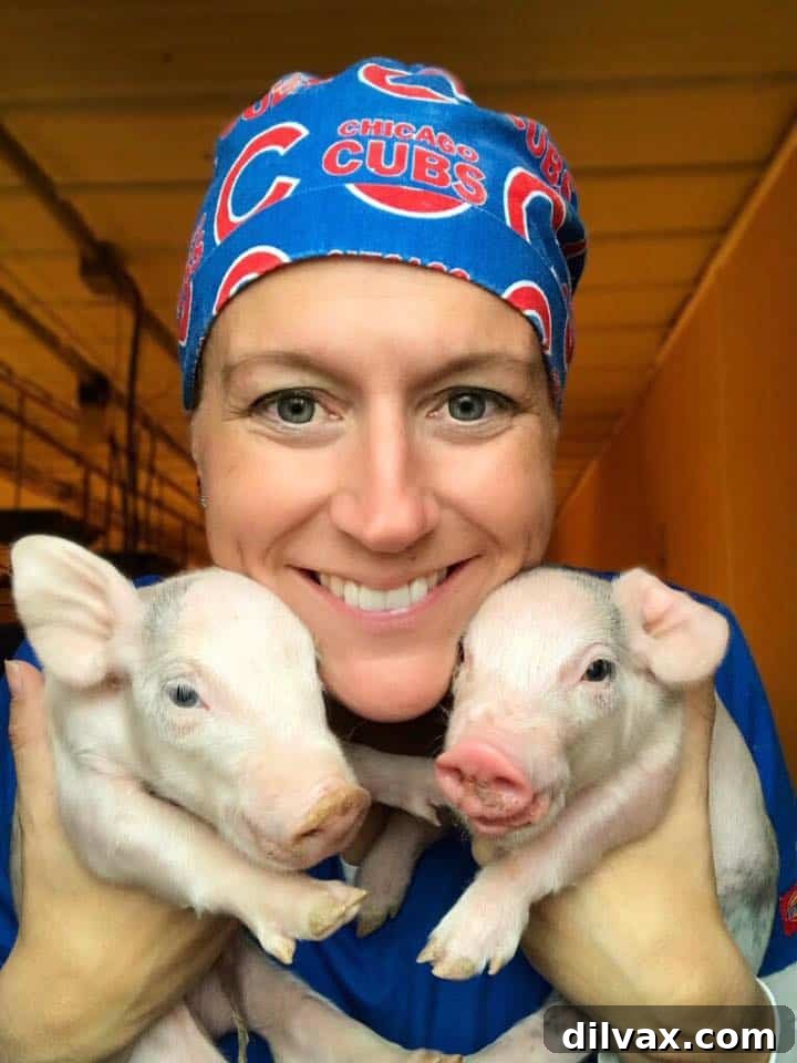 CRISPR Explained The Future of Biology 5 Healthy livestock in a farm setting, representing animal health advancements