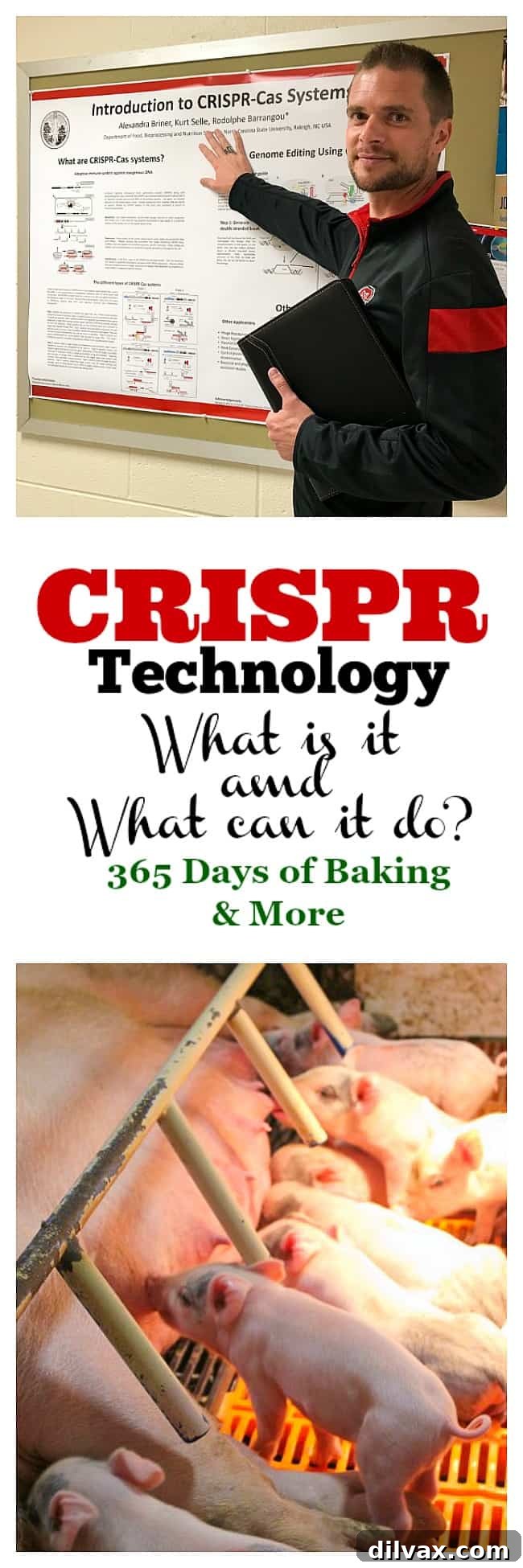 CRISPR Explained The Future of Biology 7 CRISPR technology abstract showing genetic sequence and scientific discovery