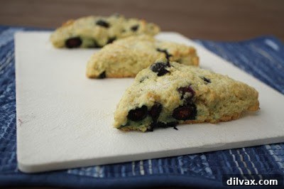 Vegan Blueberry Lemon Scones by Madge from The Vegetarian Casserole Queen