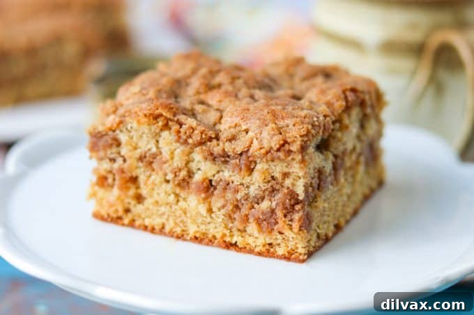 Classic Sour Cream Crumb Cake 2 Delicious Sour Cream Coffee Cake with Cinnamon Streusel