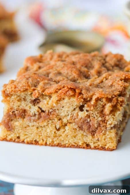 Classic Sour Cream Crumb Cake 9 Close-up of Cinnamon Coffee Cake made with sour cream, showing the streusel topping.