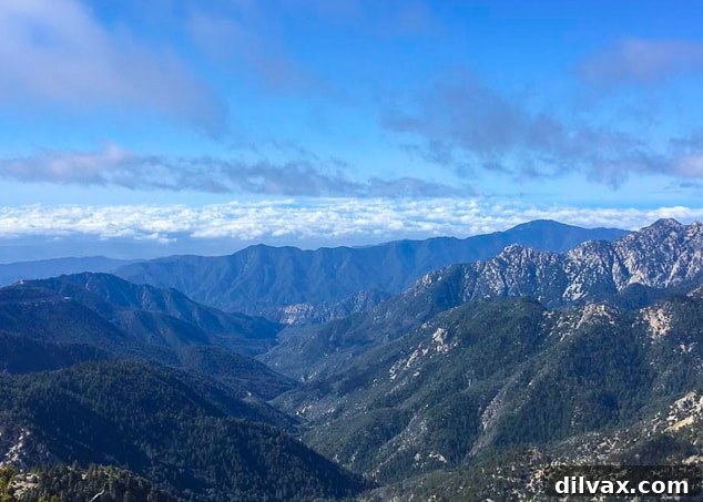 Mt. Williamson north of Wrightwood, CA. One of the views along the Pacific Crest Trail.