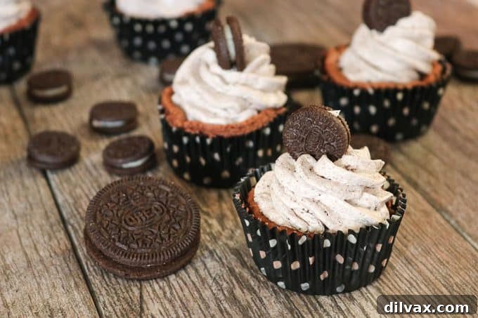 Delicious single-serve Chocolate Cookies and Cream Cheesecakes topped with Oreos, ready to be enjoyed.