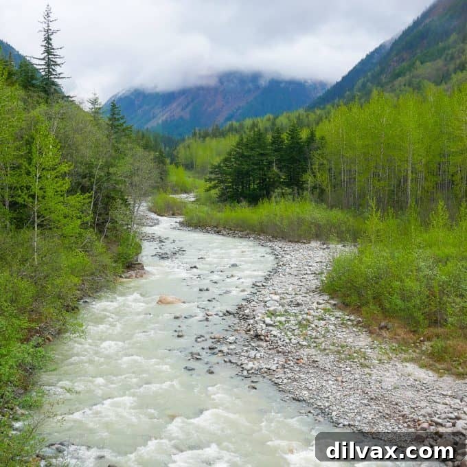 Stunning view of a tranquil river in Alaska, surrounded by lush green forests and majestic mountains under a clear sky.