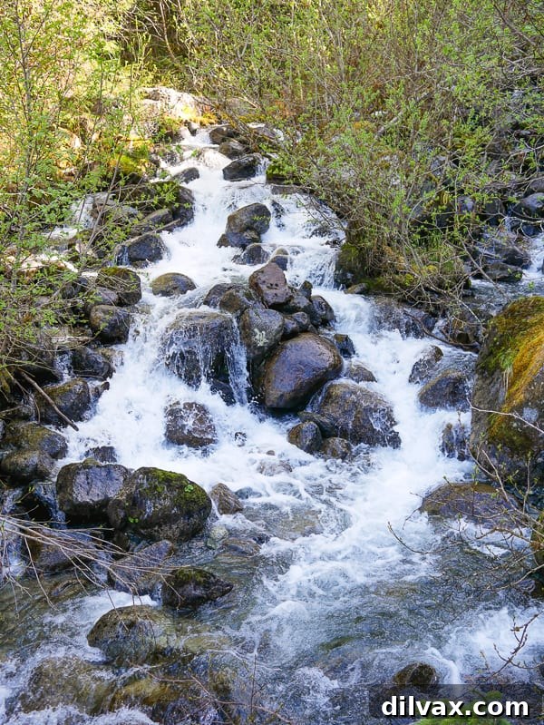 A beautiful waterfall cascades down a rocky slope, surrounded by lush greenery, along the Mendenhall Glacier Trail in Alaska.