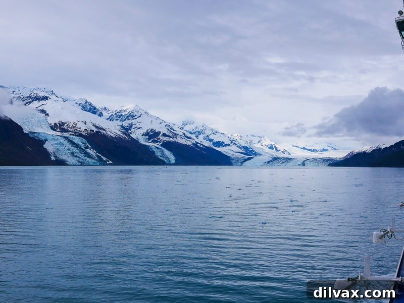 A day of glacier viewing in College Fjord after our Alaska Cruise Excursions.