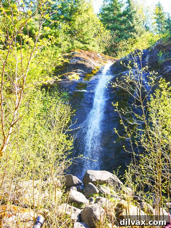 Waterfall seen during our Alaska Cruise Excursions Mendenhall Glacier Hike.