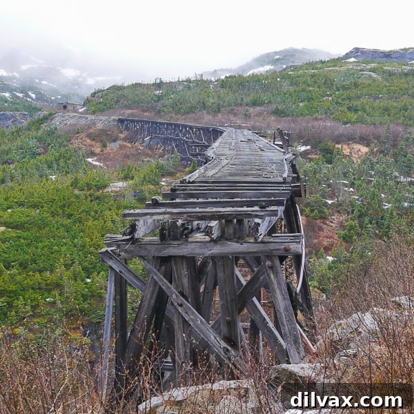 Old wooden bridge from the 1898 Gold Rush on our White Pass Scenic Railway. Just one of our Alaska Cruise Excursions.