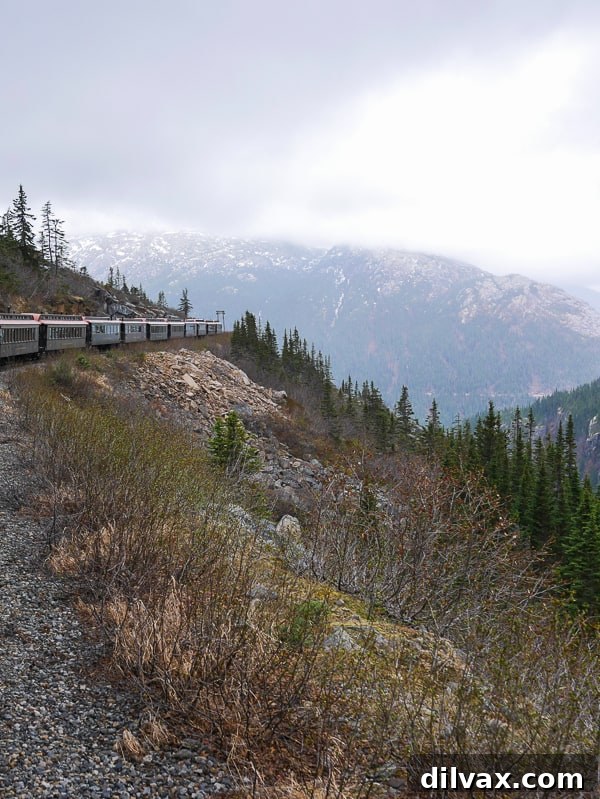 View of the White Pass Scenic Railway -Luxury Class - Alaska Cruise Excursions