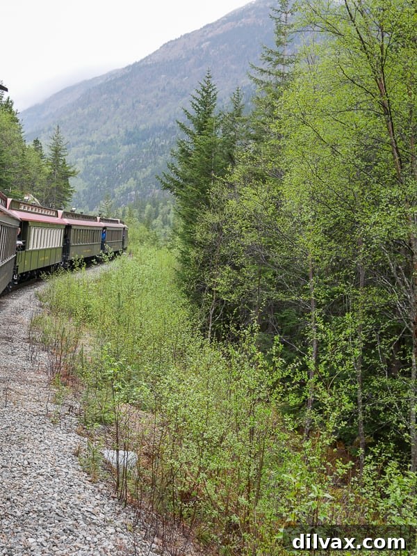 Going up the mountain on the White Pass Scenic Railway tour in Skagway, Alaska.