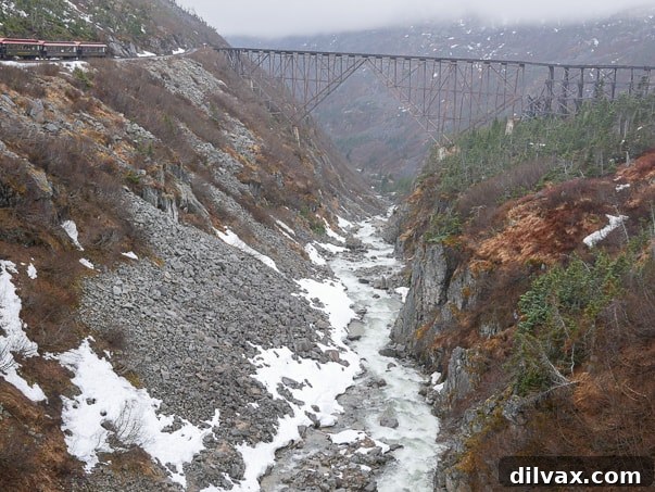 An old abandoned bridge along the White Pass Scenic Railway. 