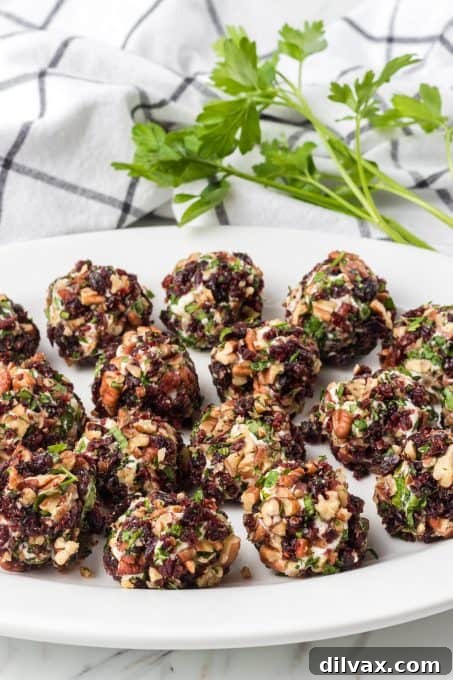 Goat Cheese Bites with pecans, dried cranberries and parsley.