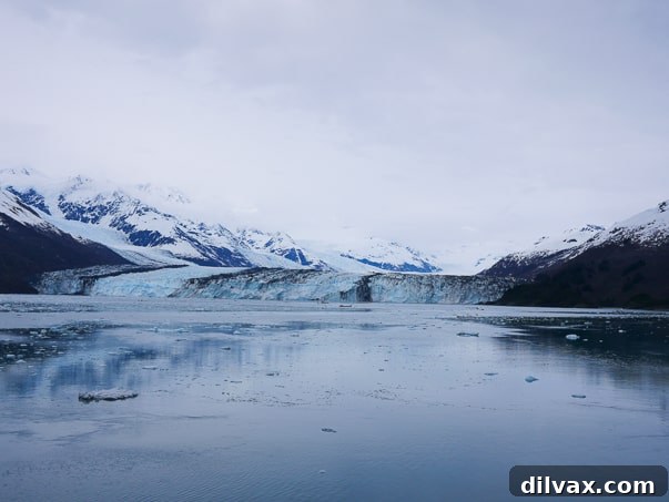 Majestic College Fjord Glacier from a Princess Cruise ship