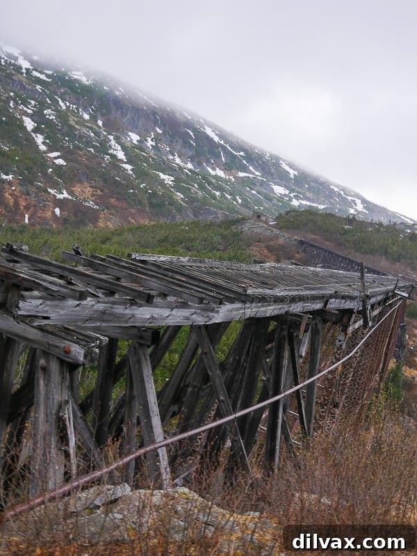 Abandoned railroad bridge from 1898 Klondike gold rush in Skagway, Alaska