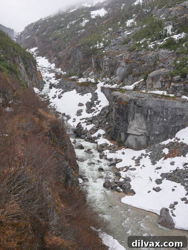 A river along the White Pass Scenic Railway, Alaska - Scenic Views