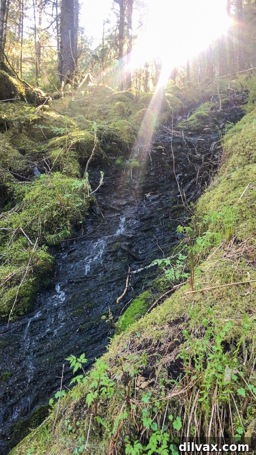 Waterfall on Mendenhall Glacier Trail - Scenic Hike