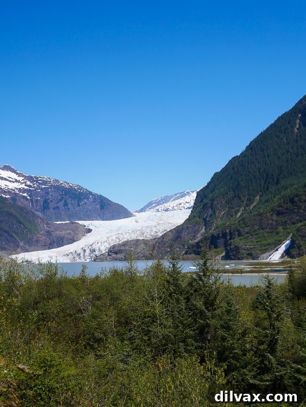 View of Mendenhall Glacier from Mendenhall Glacier Trail Hike