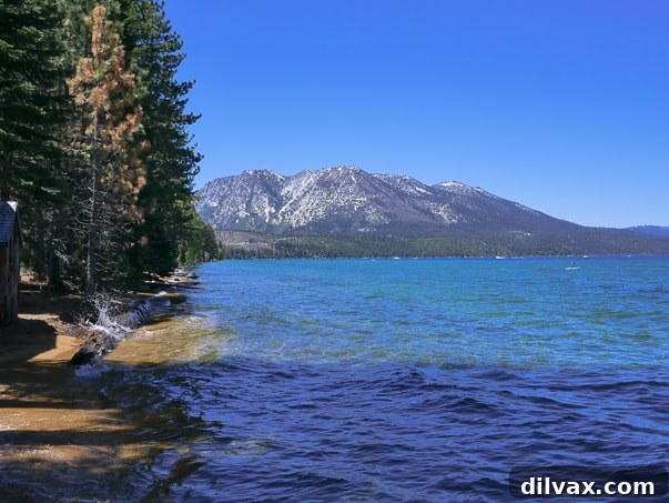 View of Lake Tahoe from Tallac Historic Site in South Lake Tahoe, CA. View of Lake Tahoe from Tallac Historic Site in South Lake Tahoe, CA.