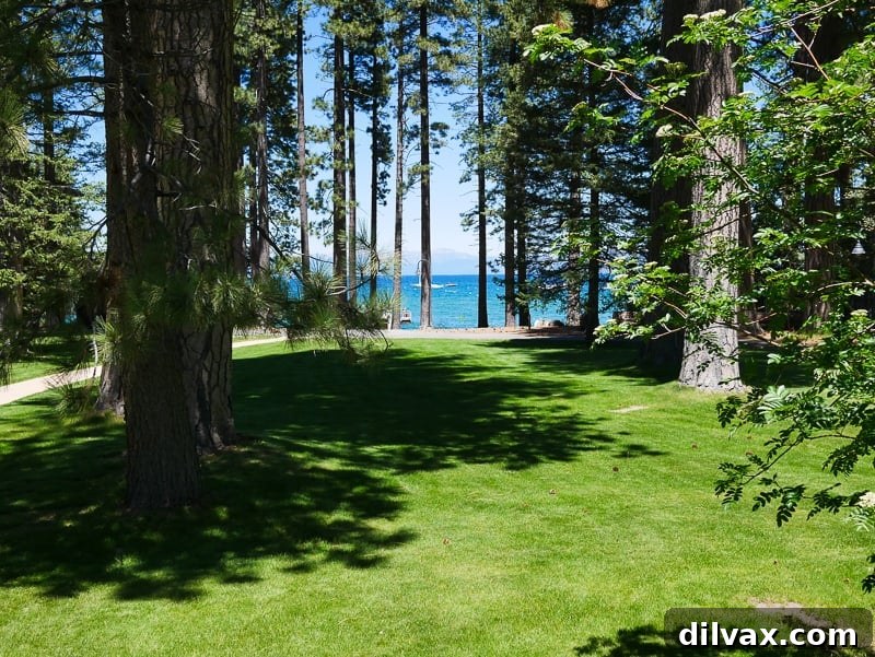 View of the lake and tall pines at Tallac Historic Site in South Lake Tahoe, CA. View of the lake and tall pines at Tallac Historic Site in South Lake Tahoe, CA.