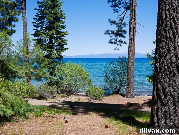View of Lake Tahoe from Tallac Historic Site, South Lake Tahoe, CA View of Lake Tahoe from Tallac Historic Site, South Lake Tahoe, CA