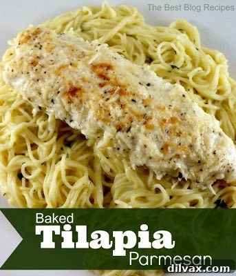 Winning Wednesday 7 Baked Tilapia Parmesan