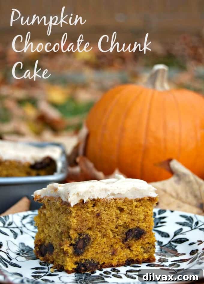 Pumpkin Chocolate Chunk Cake - chocolate and the great taste of Fall!