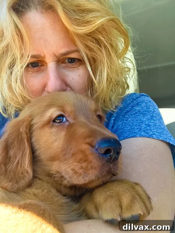 Furry Friend Friday - Logan the Golden Dog being hugged by mommy