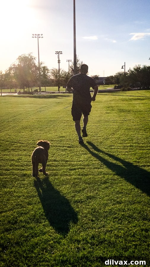 Logan the Golden Dog, a vibrant Golden Retriever puppy, joyfully running across a lush green park field.
