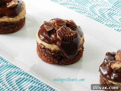 Wondrous Wednesdays 5 Rich Peanut Butter Cup Boozy Brownies